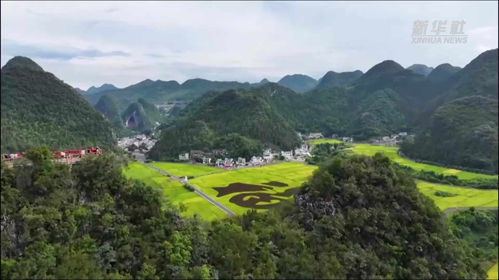 无人机视角看贵州万峰林秋收画卷