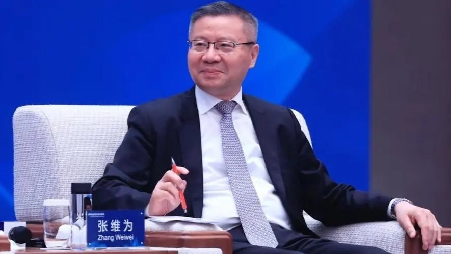 张维为不理智爱国个案各国都有但中国主流都是理智年轻人