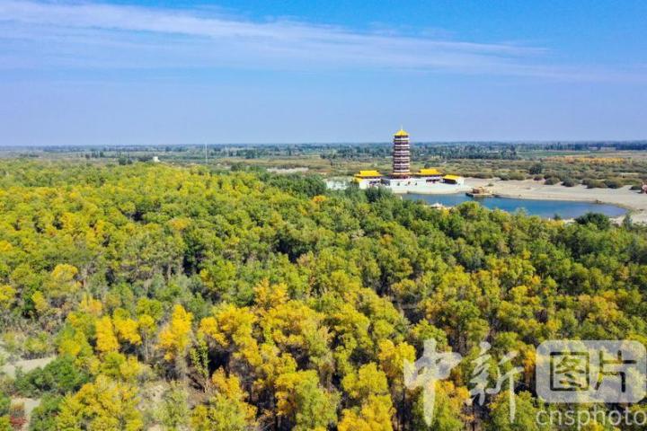 中新社发　陈坤　摄