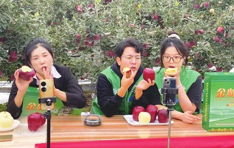 天水“花牛”苹果直播带货