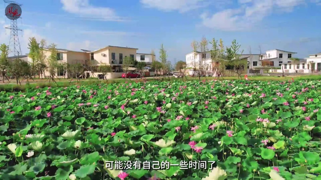 凤见第194期：年轻人的共享村落 乡村振兴新道路