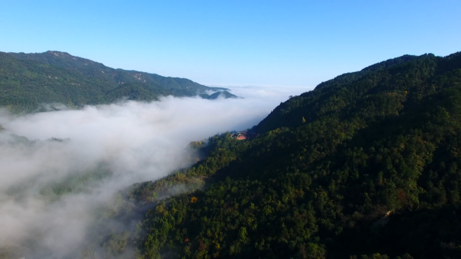 武当山景区秋意浓 游客中秋登高望远