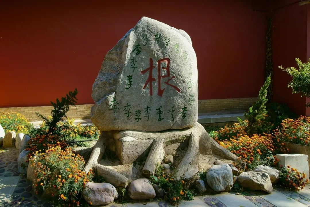 图片来源|资料库