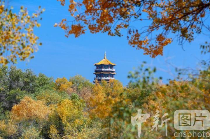 中新社发　陈坤　摄