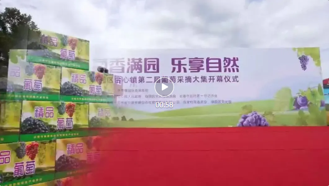 点击图片打开视频