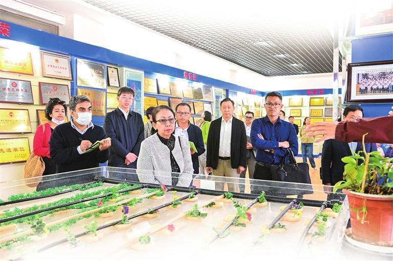 今年4月,亚洲国家使节和高级别外交官代表团来酒泉市考察访问。谢沛宏