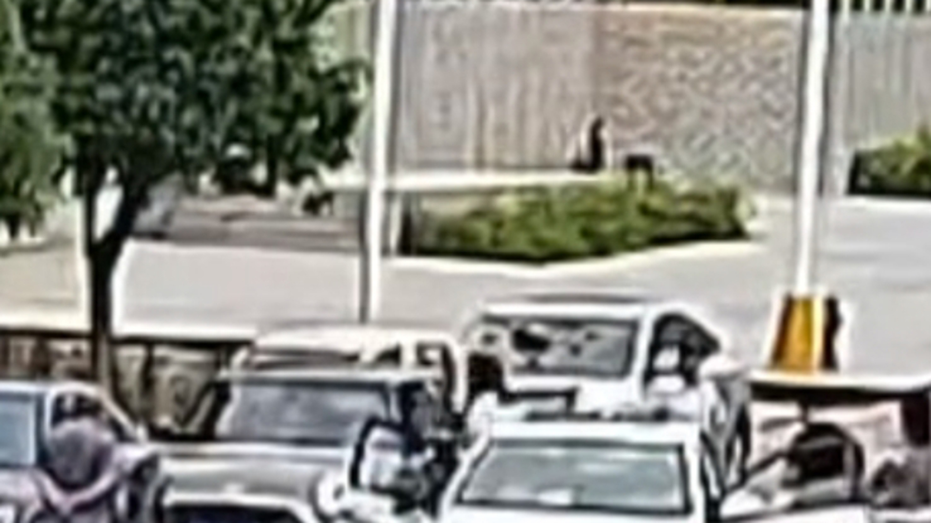 司机下车未观察，开门瞬间车门被后方来车撞烂，白色小车也因碰撞受损