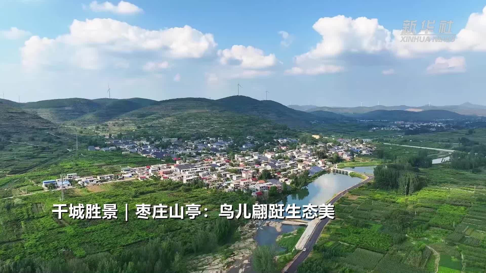 千城胜景｜枣庄山亭：鸟儿翩跹生态美