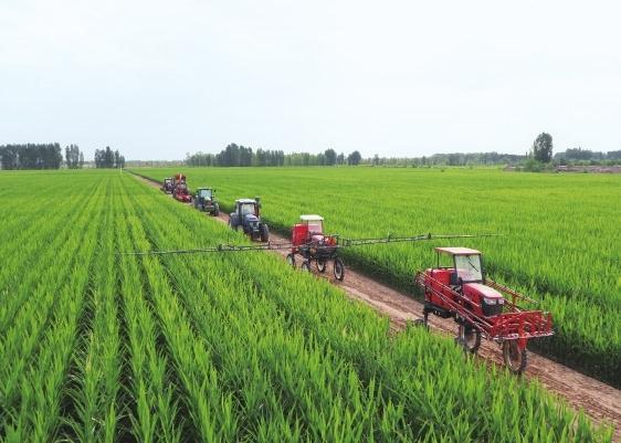 农业社会化托管服务