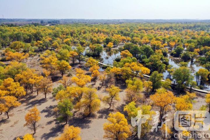 中新社发　陈坤　摄