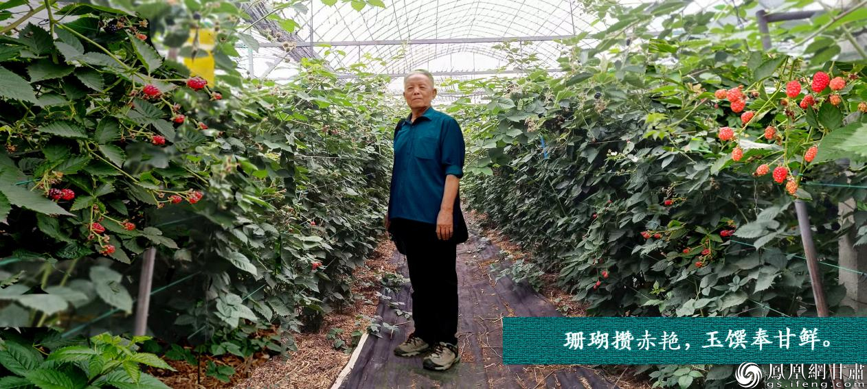 张民华:五律·文趣歌韵咏树莓