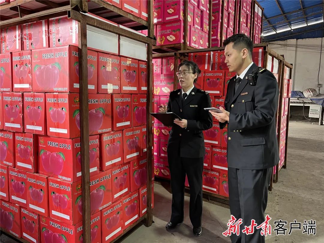 天水海关关员查验出口苹果 葛晓玲 摄