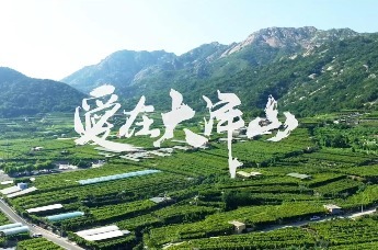 《爱在大泽山》第二集，故事正在发生......