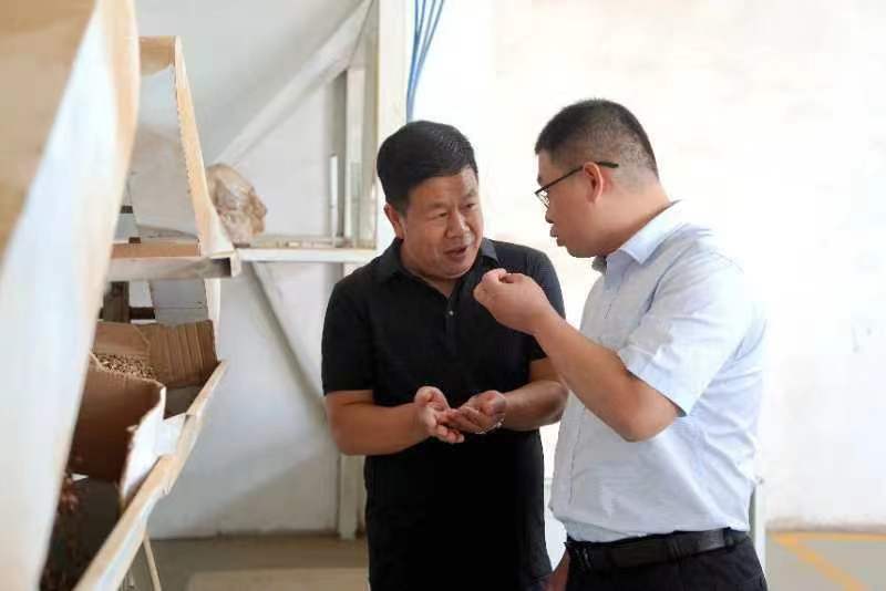 乡村振兴:让小酸枣为我们见证