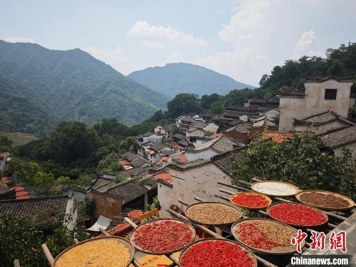 图为篁岭“晒秋”美景。(资料图)熊锦阳 摄