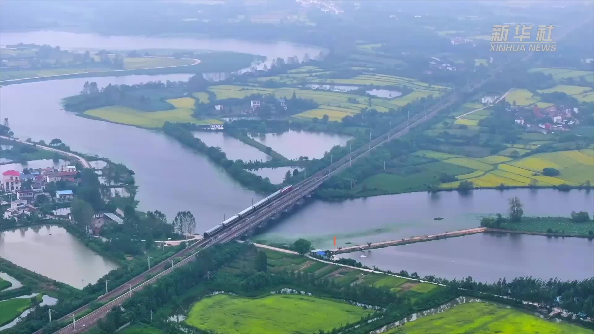 千城胜景｜河南罗山：稻田染秋色 开镰收割忙