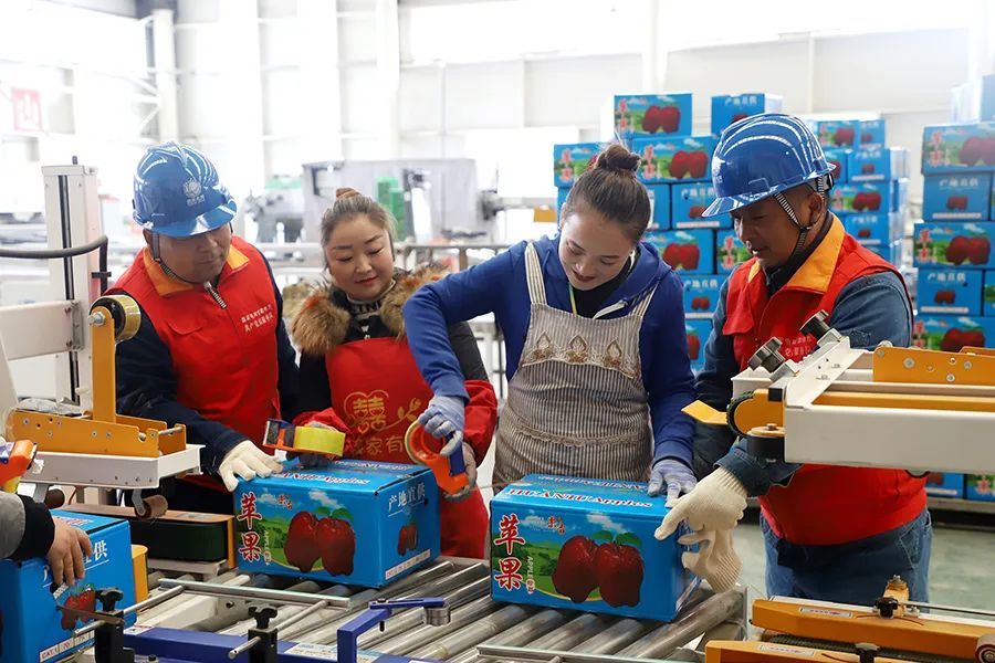 分拣装箱(资料图)