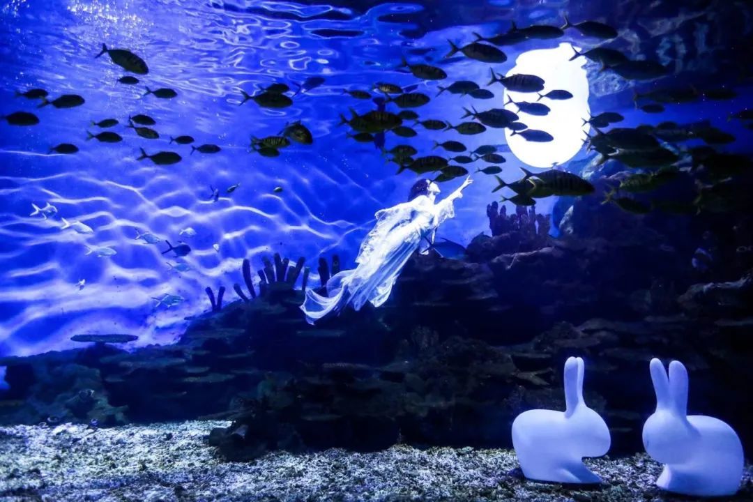 图/武汉极地海洋公园