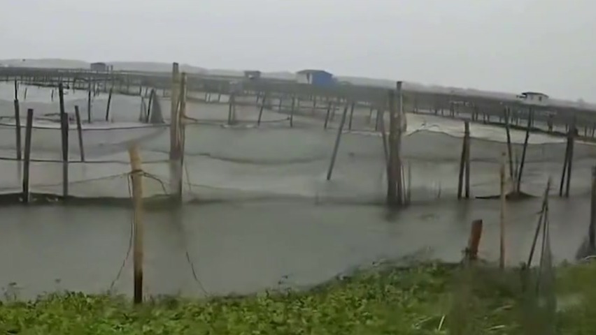 台风“贝碧嘉”直扑阳澄湖，网友关心大闸蟹，养殖户：湖上房屋被吹倒，灾情尚不清楚