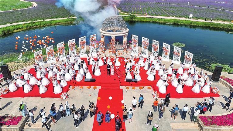 薰衣草集体婚礼