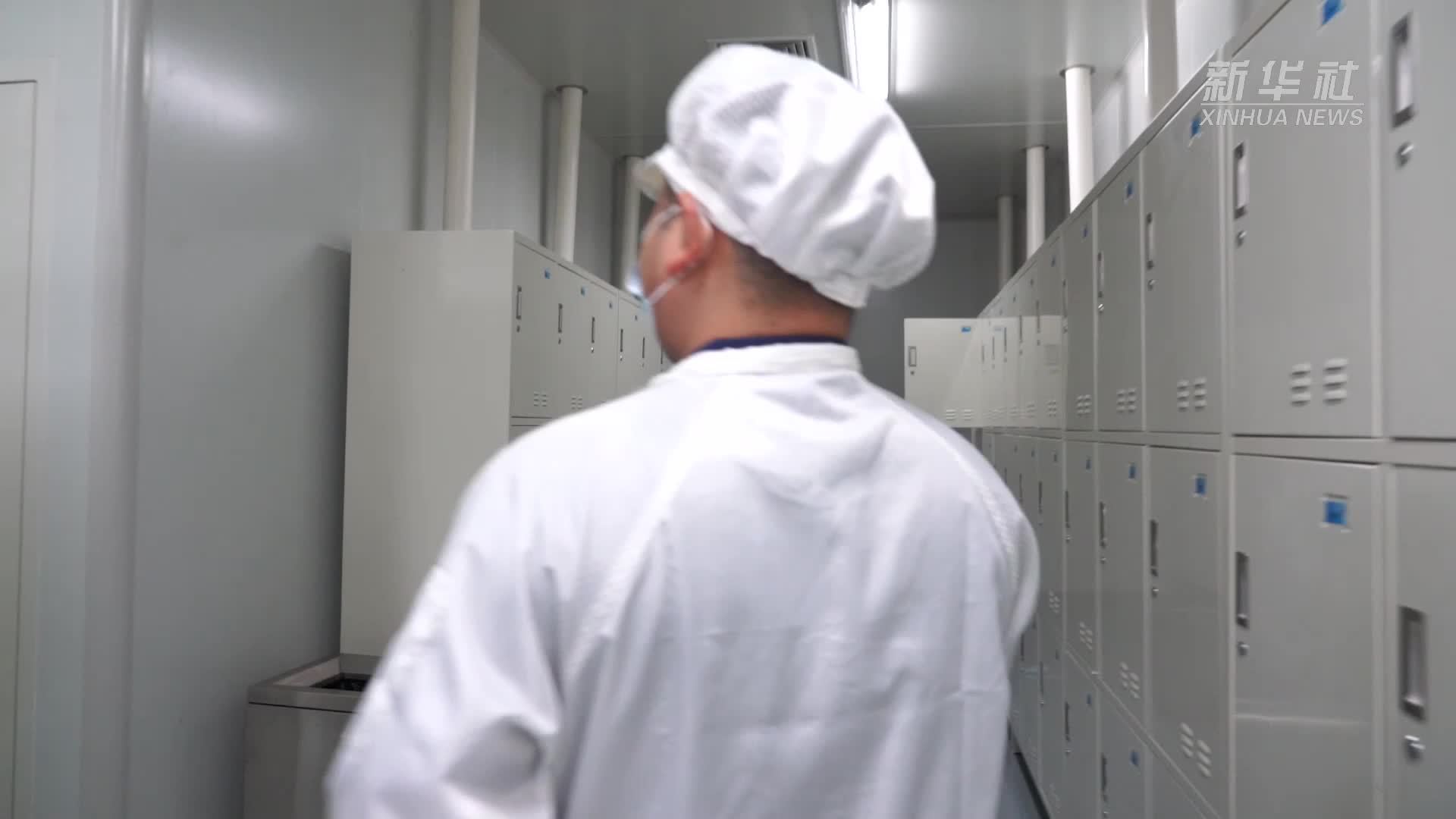 中国经济样本观察·企业样本篇｜一个年轻“独角兽”的突围