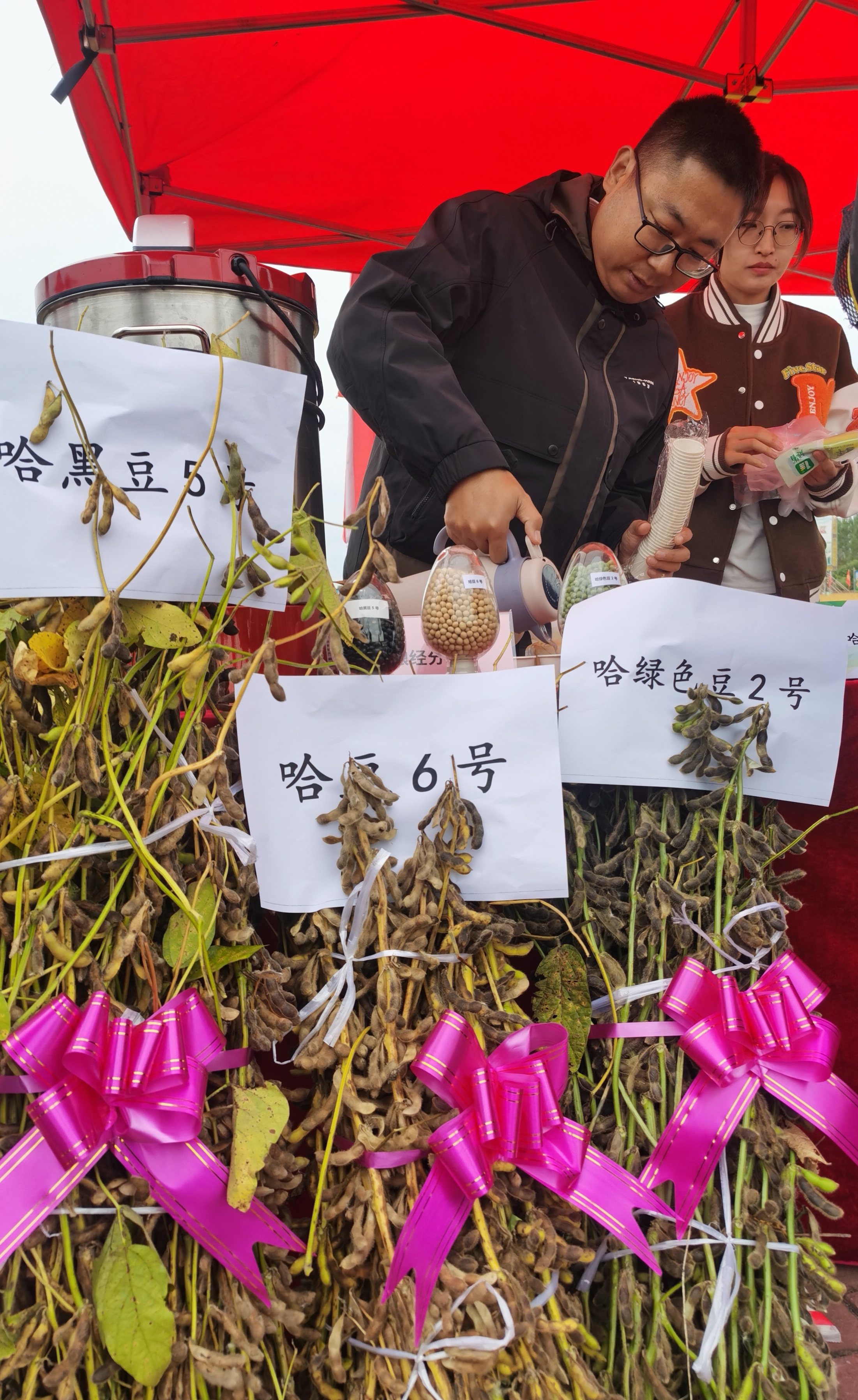 哈市研发的大豆种子