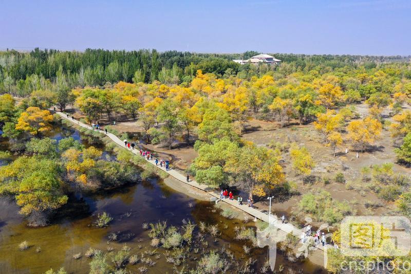 中新社发　陈坤　摄