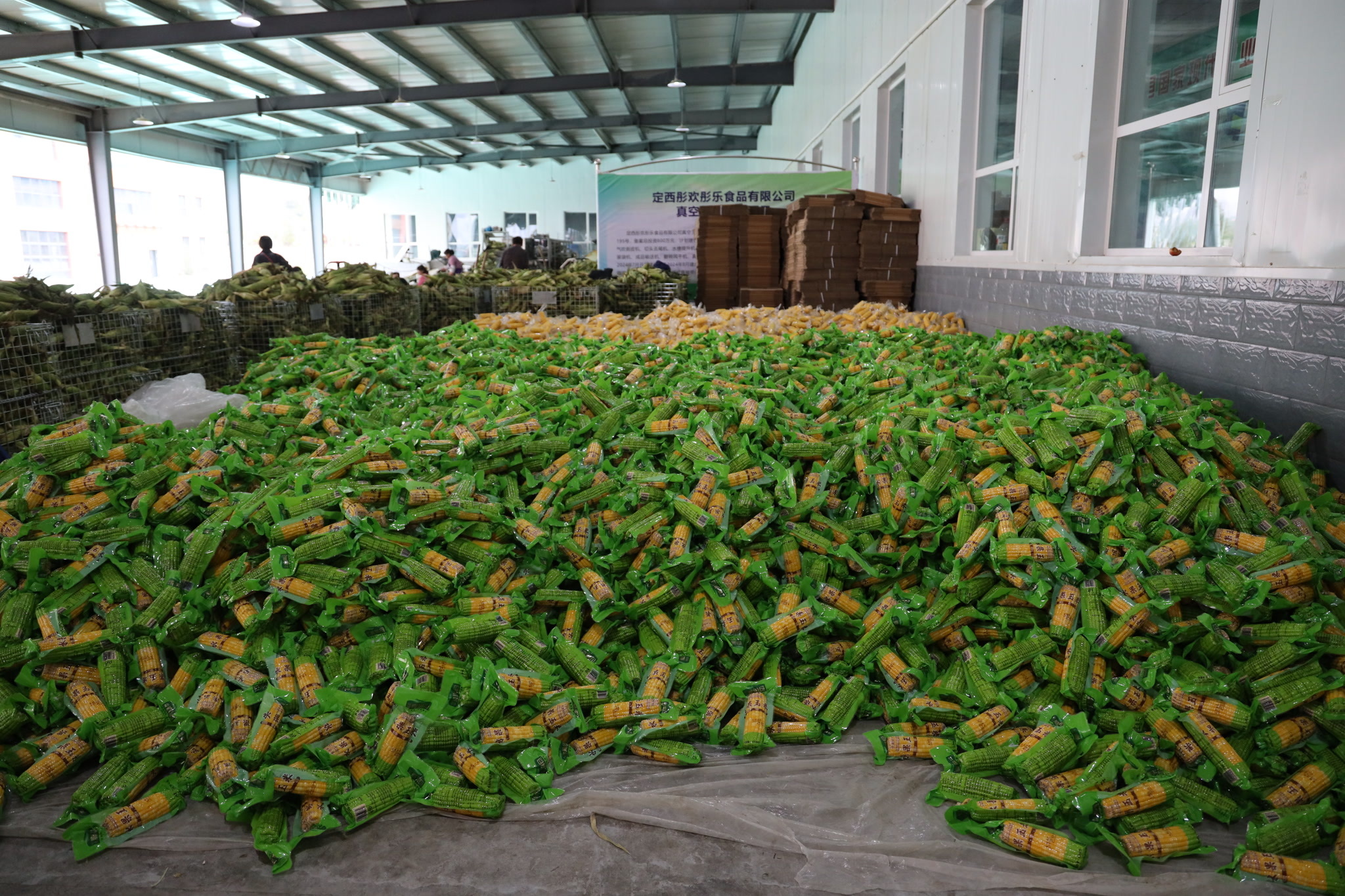栽下梧桐树引来金凤凰！青岛定西东西协作搭建平台，赋能企业做大做强助力乡村振兴