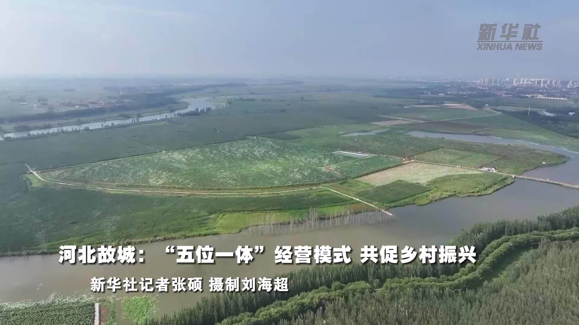 河北故城：“五位一体”经营模式 共促乡村振兴