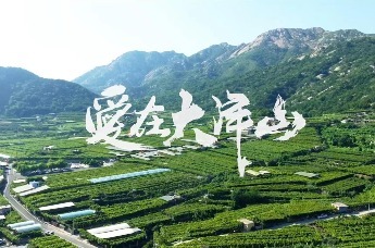 一起来观看《爱在大泽山》第一集精彩故事吧~