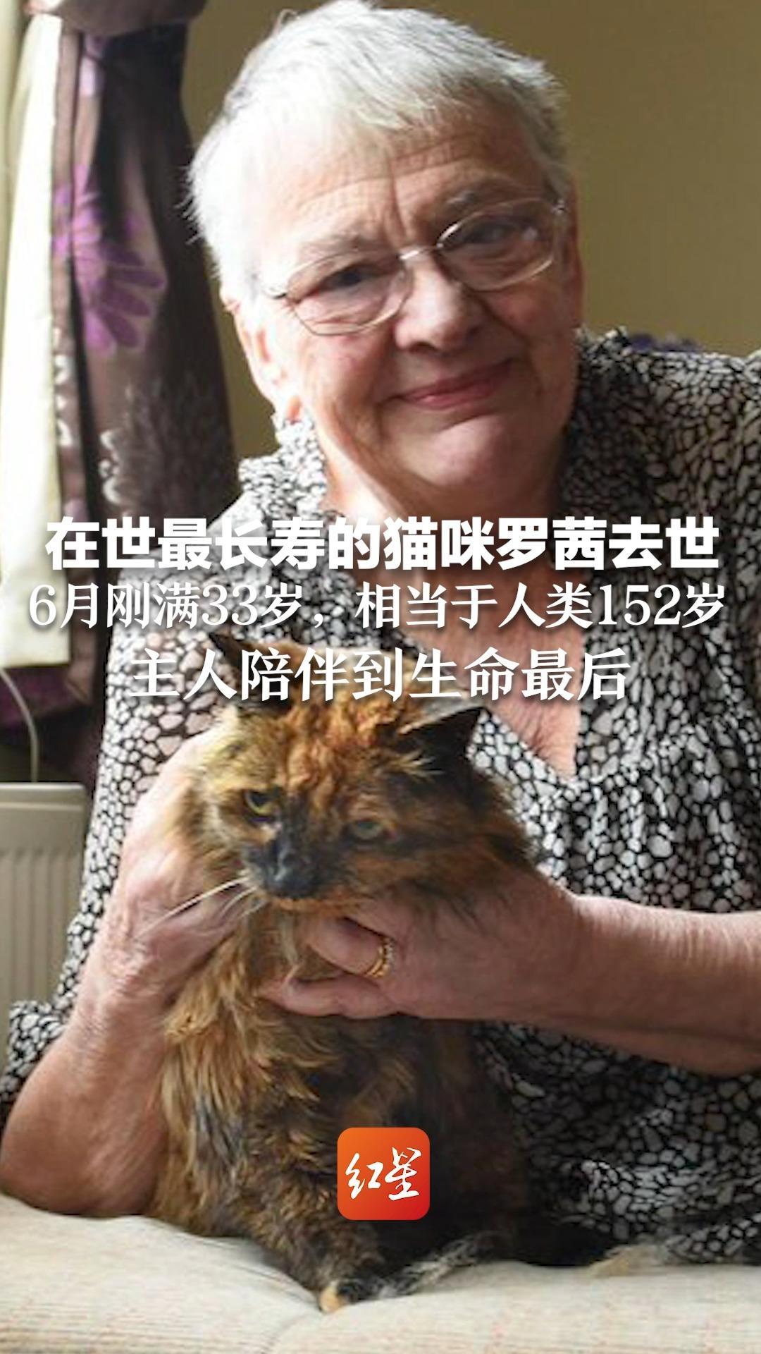 在世最长寿的猫咪罗茜去世，6月刚满33岁，相当于人类的152岁 主人陪伴它到生命最后