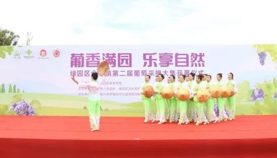 长春市绿园区合心镇举行“葡香满园·乐享自然”第二届葡萄采摘大集