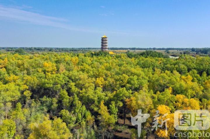 中新社发　陈坤　摄