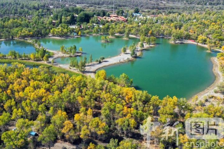 中新社发　陈坤　摄