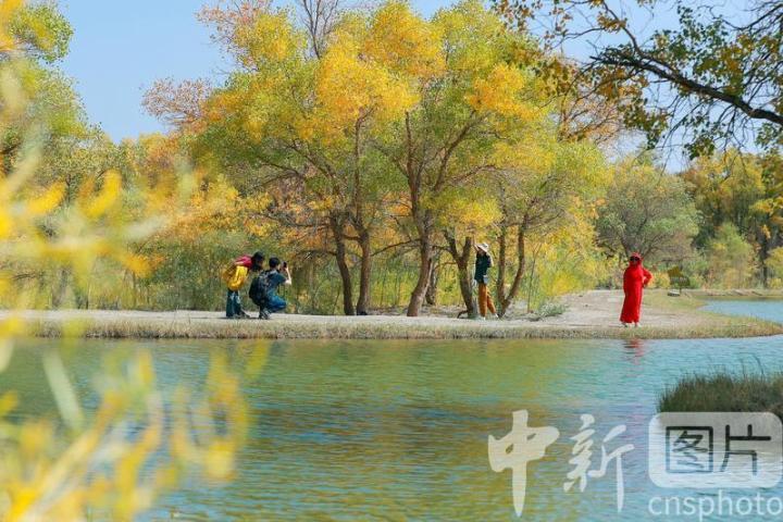 中新社发　陈坤　摄