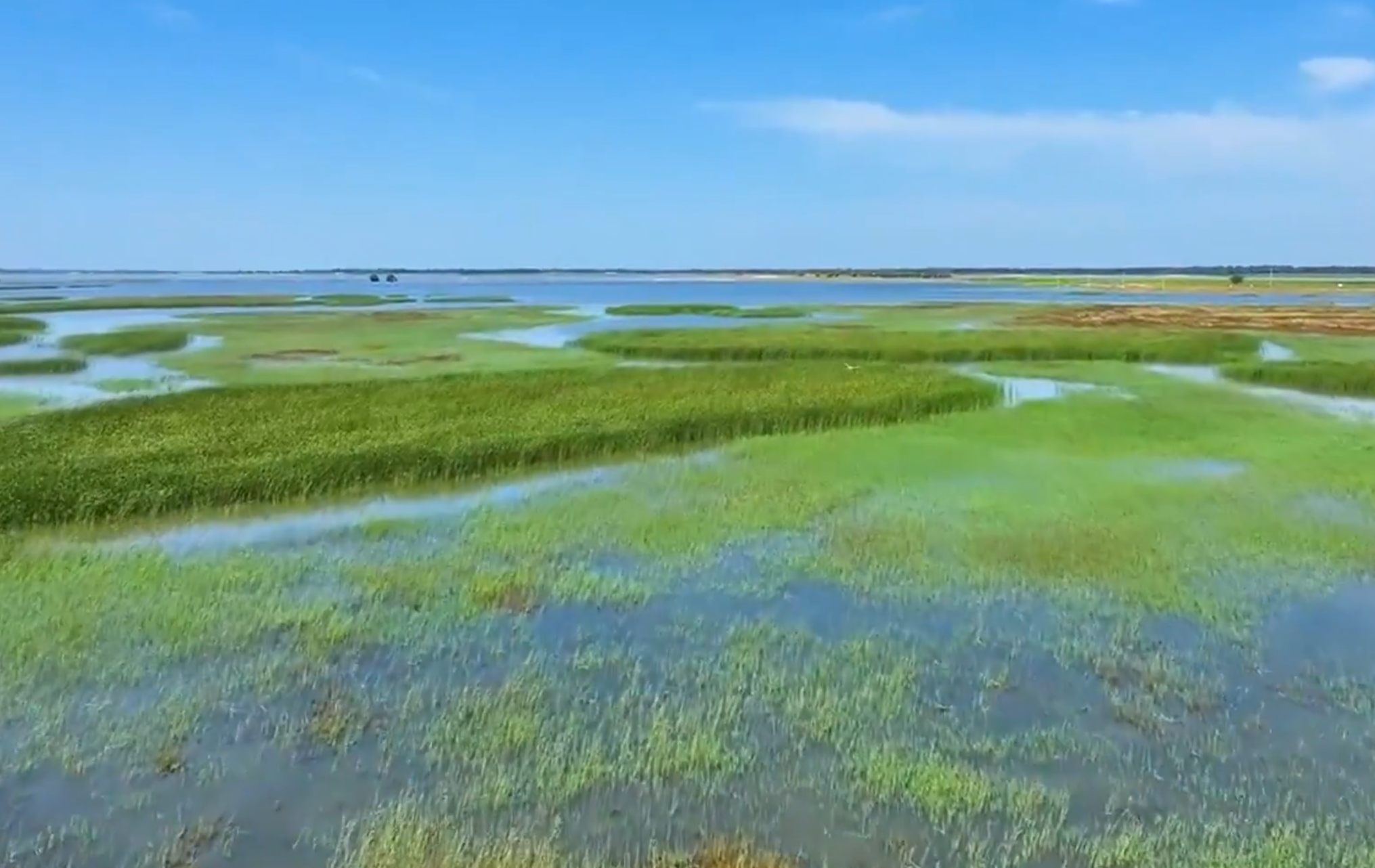 洮南初秋水丰草绿鸟儿欢尽显生态美