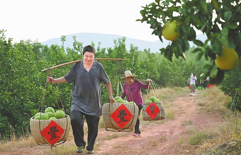 吉安：丰收的喜悦（图）