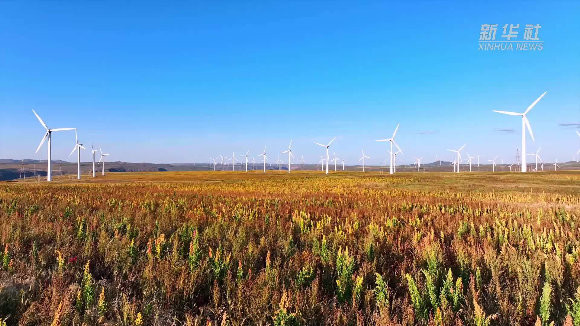 千城胜景｜内蒙古翁牛特旗：塞上藜麦熟