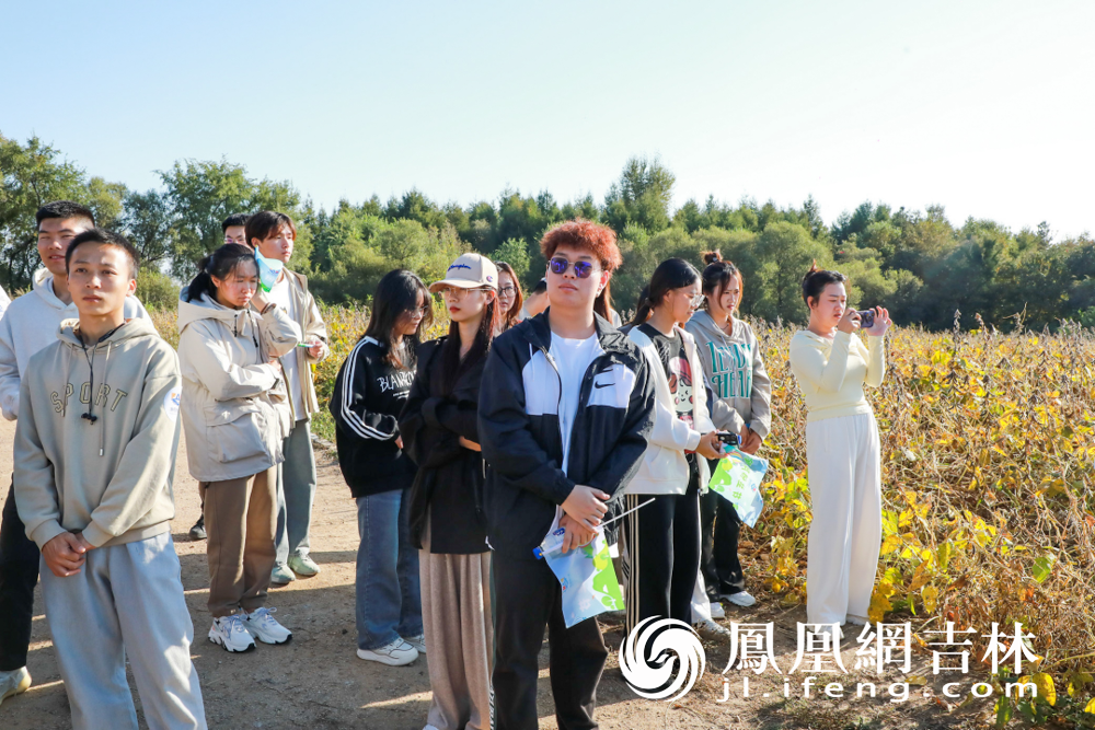净月粉丝节在大豆种业“育繁推”基地参观。
