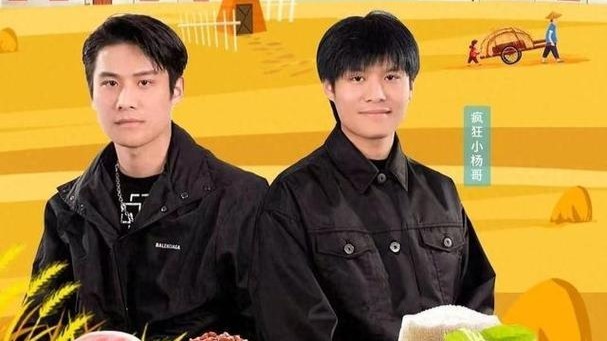 三只羊网络旗下账号再次停播:复播当天被合肥市市场监督管理局通报_凤凰网