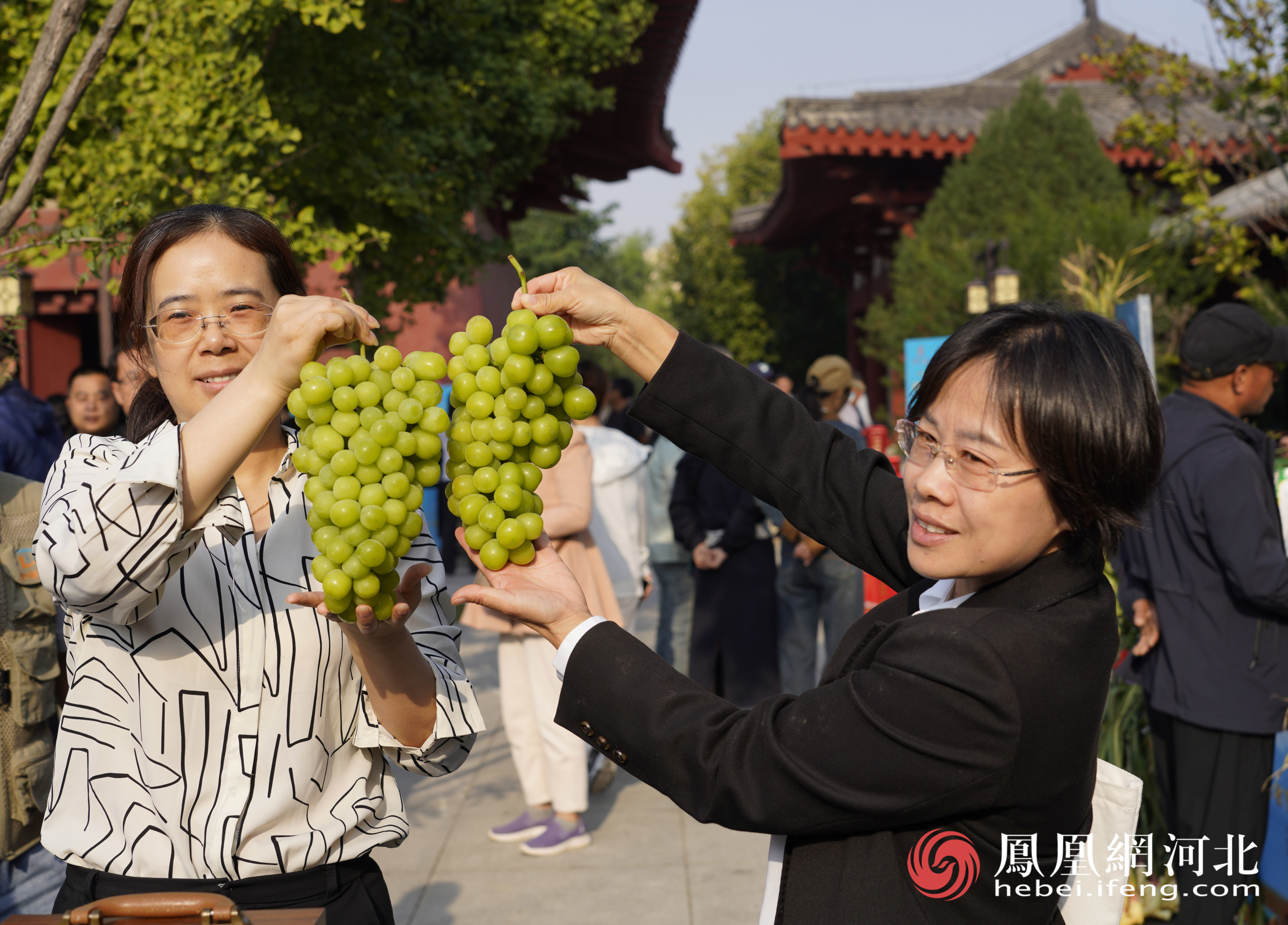 活动现场 蔡柠摄