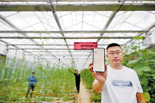 9月20日，河北绿园生态庄园农业开发有限公司管理员向记者展示手机上的智能温室控制系统。本报记者 焦磊摄
