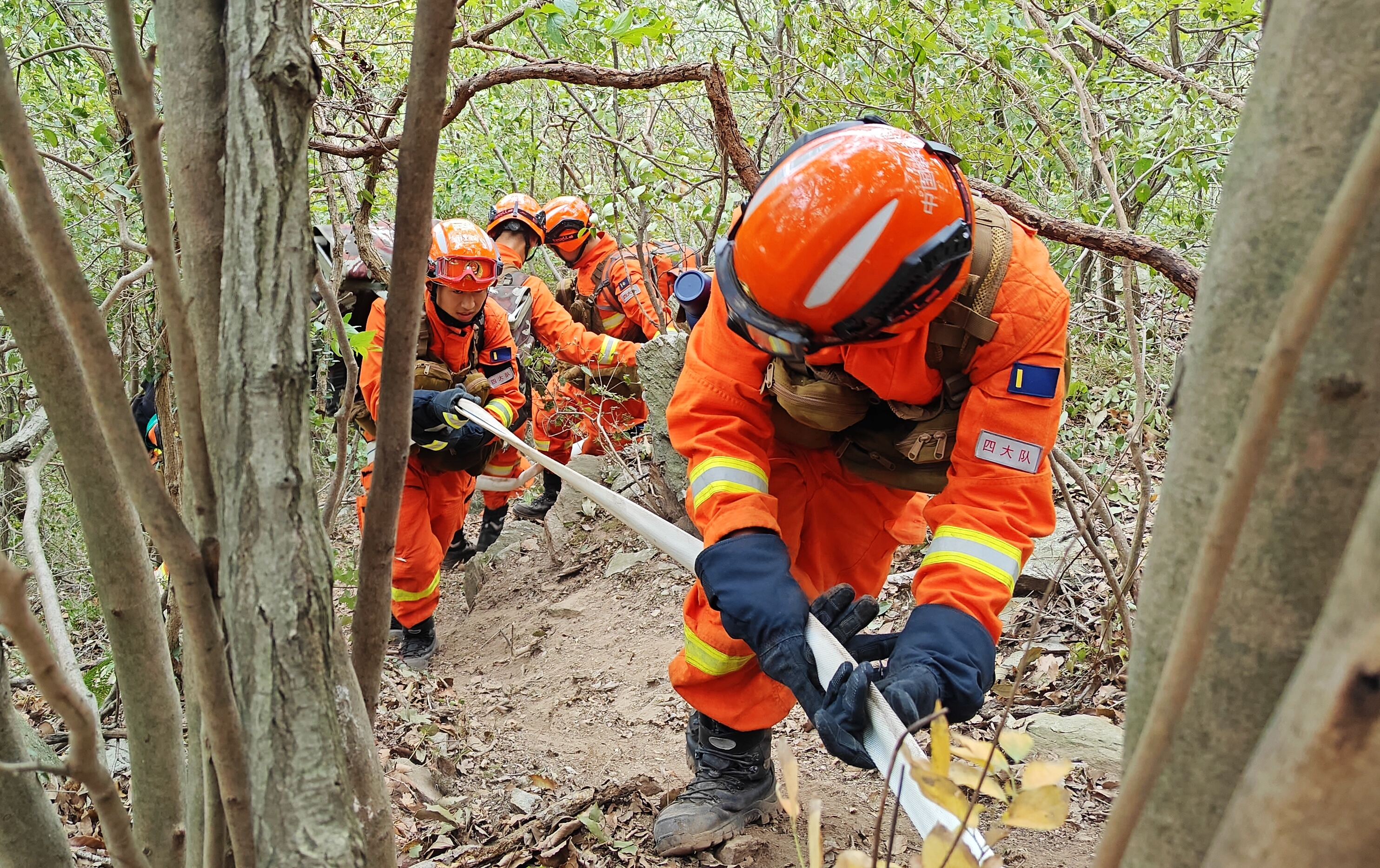 全力备战湖北秋冬森林防灭火 野外实战化演训锤炼救援本领 ——国家消防救援局湖北机动队伍2024年野外驻训成效显著