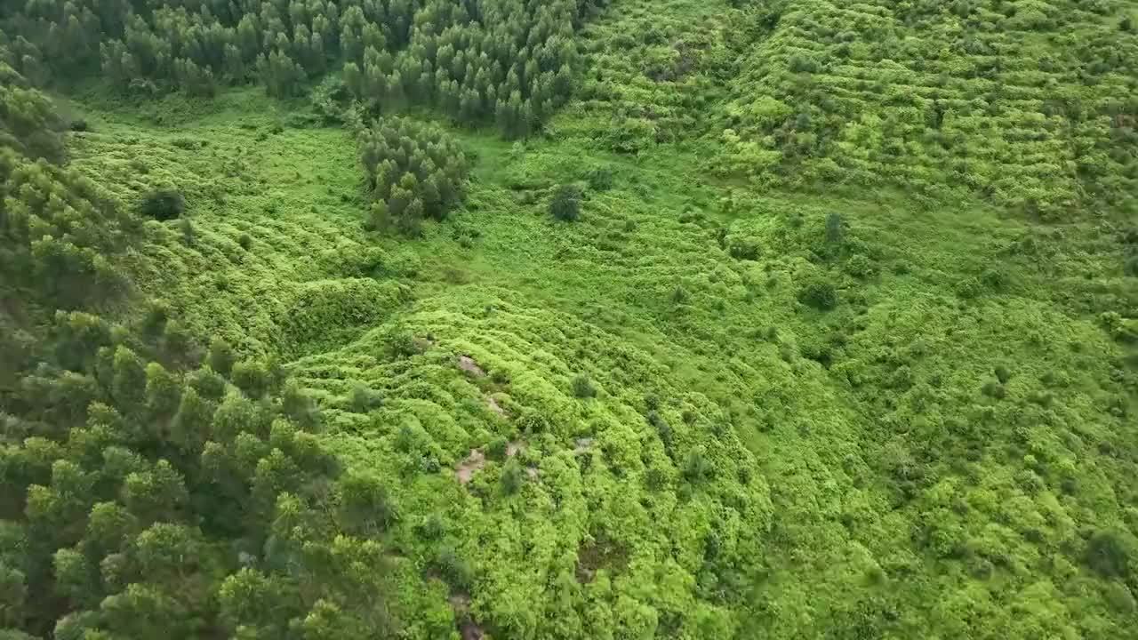 涠洲岛魔鬼坡图片