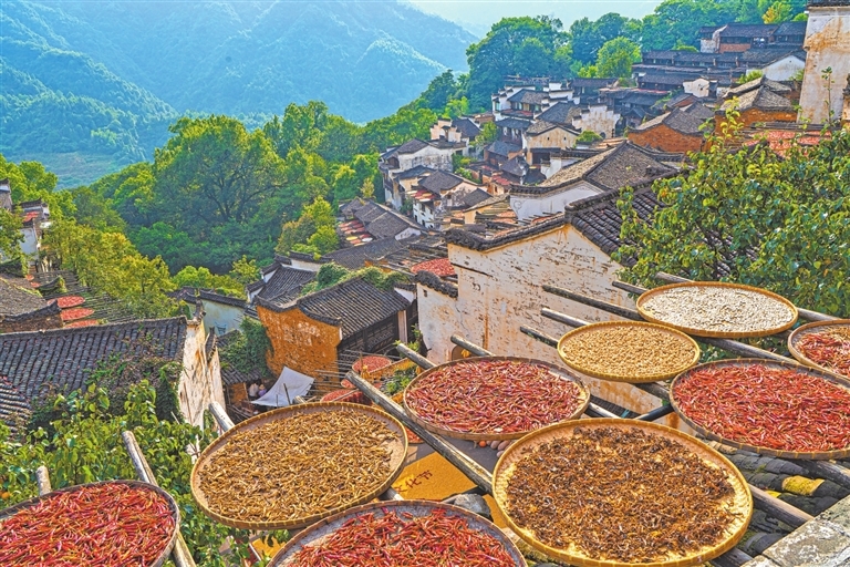 篁岭古村晒秋场景。江西日报全媒体记者 徐黎明摄