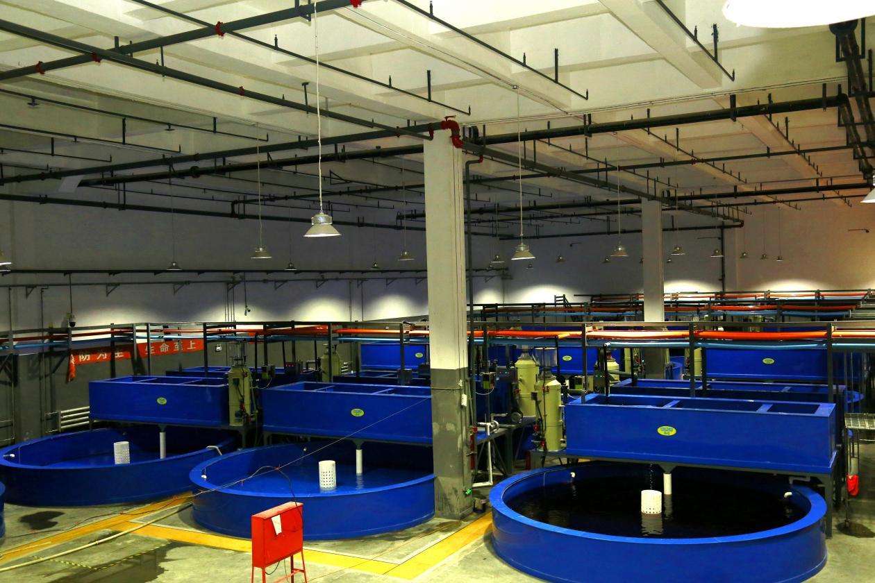 长春龙嘉机场海产品暂养中心。