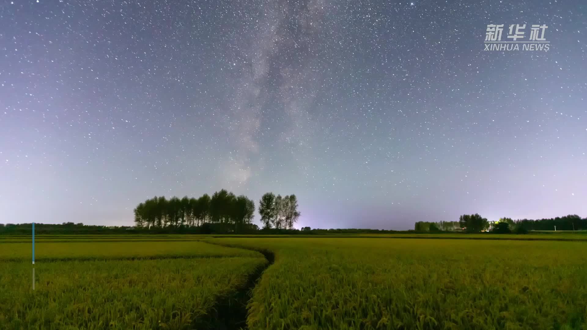 丰收田野“约会”浪漫星空