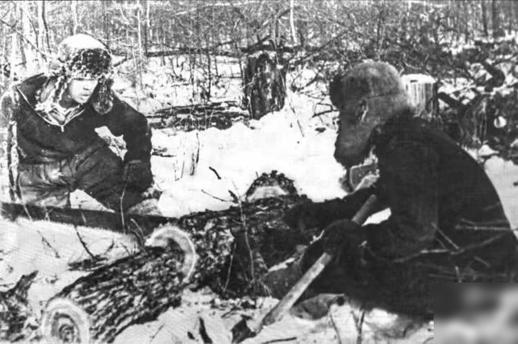 伐木现场（图片由大兴安岭地区档案馆提供）