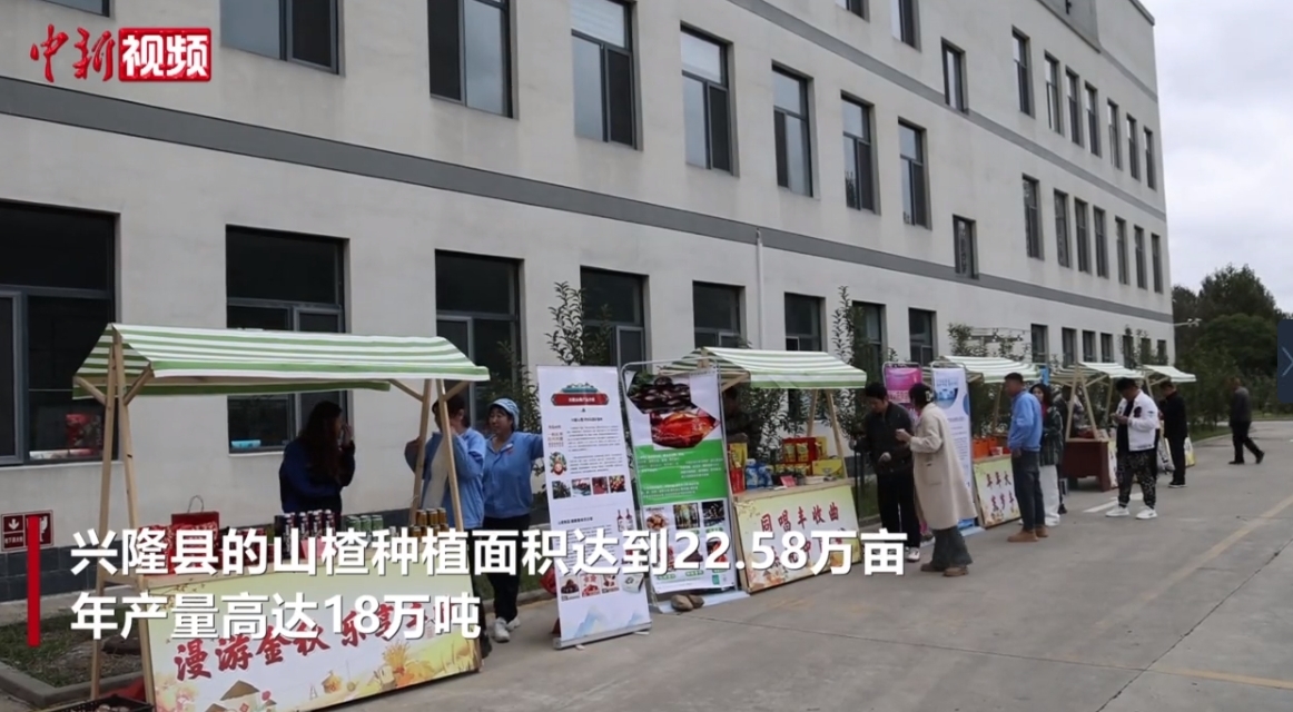 河北承德：庆丰收迎盛会