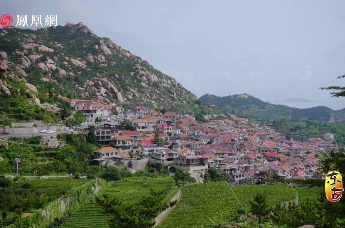 寻味之“崂山绿茶”：和青山相伴，与历史共生